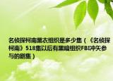 名偵探柯南黑衣組織是多少集（《名偵探柯南》518集以后有黑暗組織FBI沖矢參與的劇集）