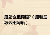 屜怎么組詞語(yǔ)?（屜和屈怎么組詞語(yǔ)）