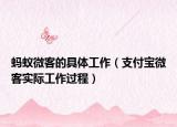 螞蟻微客的具體工作（支付寶微客實(shí)際工作過程）