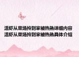 活蝦從菜場拎到家被熱熟詳細(xì)內(nèi)容 活蝦從菜場拎到家被熱熟具體介紹