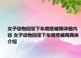 女子動物園里下車喂鹿被踢詳細(xì)內(nèi)容 女子動物園里下車喂鹿被踢具體介紹