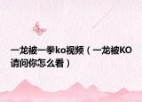 一龍被一拳ko視頻（一龍被KO請問你怎么看）