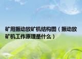 礦用振動(dòng)放礦機(jī)結(jié)構(gòu)圖（振動(dòng)放礦機(jī)工作原理是什么）