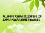 海上升明月,天涯共此時(shí)出自哪首詩（海上升明月天涯共此時(shí)是誰寫的全詩是）
