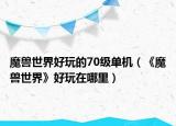 魔獸世界好玩的70級(jí)單機(jī)（《魔獸世界》好玩在哪里）