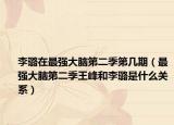 李璐在最強(qiáng)大腦第二季第幾期（最強(qiáng)大腦第二季王峰和李璐是什么關(guān)系）