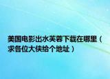 美國(guó)電影出水芙蓉下載在哪里（求各位大俠給個(gè)地址）