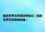 我的世界怎樣高效挖鉆石（我的世界怎樣高級(jí)附魔）