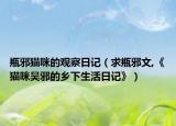 瓶邪貓咪的觀察日記（求瓶邪文,《貓咪吳邪的鄉(xiāng)下生活日記》）