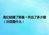 我們結婚了鯨魚一共出了多少期（分別是什么）