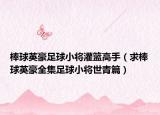 棒球英豪足球小將灌籃高手（求棒球英豪全集足球小將世青篇）