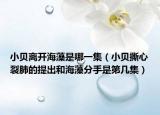 小貝離開(kāi)海藻是哪一集（小貝撕心裂肺的提出和海藻分手是第幾集）
