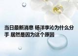 當(dāng)日最新消息 楊洋李沁為什么分手 居然是因?yàn)檫@個(gè)原因