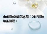dnf武神裝備怎么配（DNF武神裝備問題）