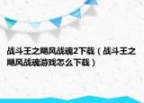 戰(zhàn)斗王之颶風(fēng)戰(zhàn)魂2下載（戰(zhàn)斗王之颶風(fēng)戰(zhàn)魂游戲怎么下載）