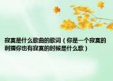 寂寞是什么歌曲的歌詞（你是一個寂寞的刺猬你也有寂寞的時候是什么歌）