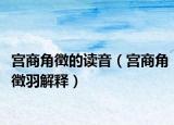 宮商角徴的讀音（宮商角徴羽解釋）