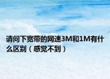 請(qǐng)問(wèn)下寬帶的網(wǎng)速3M和1M有什么區(qū)別（感覺(jué)不到）