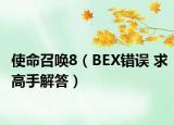 使命召喚8（BEX錯(cuò)誤 求高手解答）