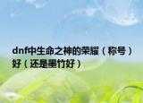 dnf中生命之神的榮耀（稱號(hào)）好（還是墨竹好）