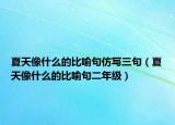 夏天像什么的比喻句仿寫三句（夏天像什么的比喻句二年級(jí)）