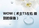 WOW（術(shù)士T5左右 級別的裝備）