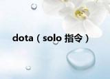 dota（solo 指令）