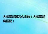 大將軍武器怎么來的（大將軍武將搭配）