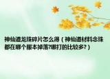 神仙道龍珠碎片怎么得（神仙道材料念珠都在哪個服本掉落?哪打的比較多?）