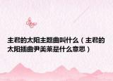 主君的太陽主題曲叫什么（主君的太陽插曲尹美萊是什么意思）