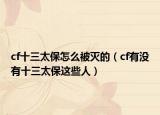 cf十三太保怎么被滅的（cf有沒(méi)有十三太保這些人）