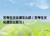 藝考生文化課怎么抓（藝考生文化課怎么復(fù)習(xí)）