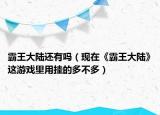 霸王大陸還有嗎（現(xiàn)在《霸王大陸》這游戲里用掛的多不多）