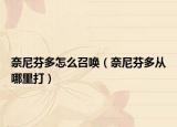 奈尼芬多怎么召喚（奈尼芬多從哪里打）