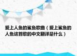 愛(ài)上人魚的鯊魚歌曲（愛(ài)上鯊魚的人魚這首歌的中文翻譯是什么）