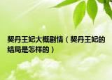 契丹王妃大概劇情（契丹王妃的結局是怎樣的）