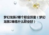 夢(mèng)幻龍族2哪個(gè)職業(yè)厲害（夢(mèng)幻龍族2單練什么職業(yè)好）