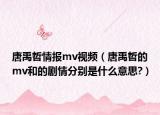 唐禹哲情報(bào)mv視頻（唐禹哲的mv和的劇情分別是什么意思?）