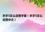 殺手5怎么設(shè)置字幕（殺手5怎么設(shè)置中文）
