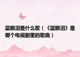 藍(lán)眼淚是什么歌（《藍(lán)眼淚》是哪個電視劇里的歌曲）