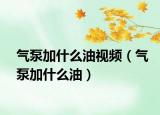 氣泵加什么油視頻（氣泵加什么油）