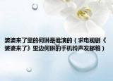 婆婆來了里的何琳是誰演的（求電視劇《婆婆來了》里邊何琳的手機(jī)鈴聲發(fā)郵箱）