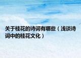 關于桂花的詩詞有哪些（淺談詩詞中的桂花文化）
