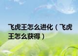 飛虎王怎么進(jìn)化（飛虎王怎么獲得）