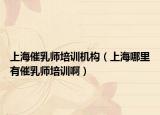 上海催乳師培訓(xùn)機(jī)構(gòu)（上海哪里有催乳師培訓(xùn)?。? /></span></a>
                        <h2><a href=