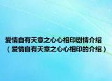 愛(ài)情自有天意之心心相印劇情介紹（愛(ài)情自有天意之心心相印的介紹）