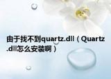 由于找不到quartz.dll（Quartz.dll怎么安裝?。? /></span></a>
                        <h2><a href=