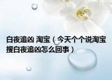 白夜追兇 淘寶（今天個個說淘寶搜白夜追兇怎么回事）