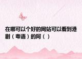 在哪可以個(gè)好的網(wǎng)站可以看到港?。ɑ浾Z）的阿（）