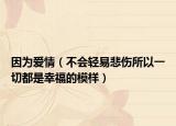 因?yàn)閻矍椋ú粫?huì)輕易悲傷所以一切都是幸福的模樣）